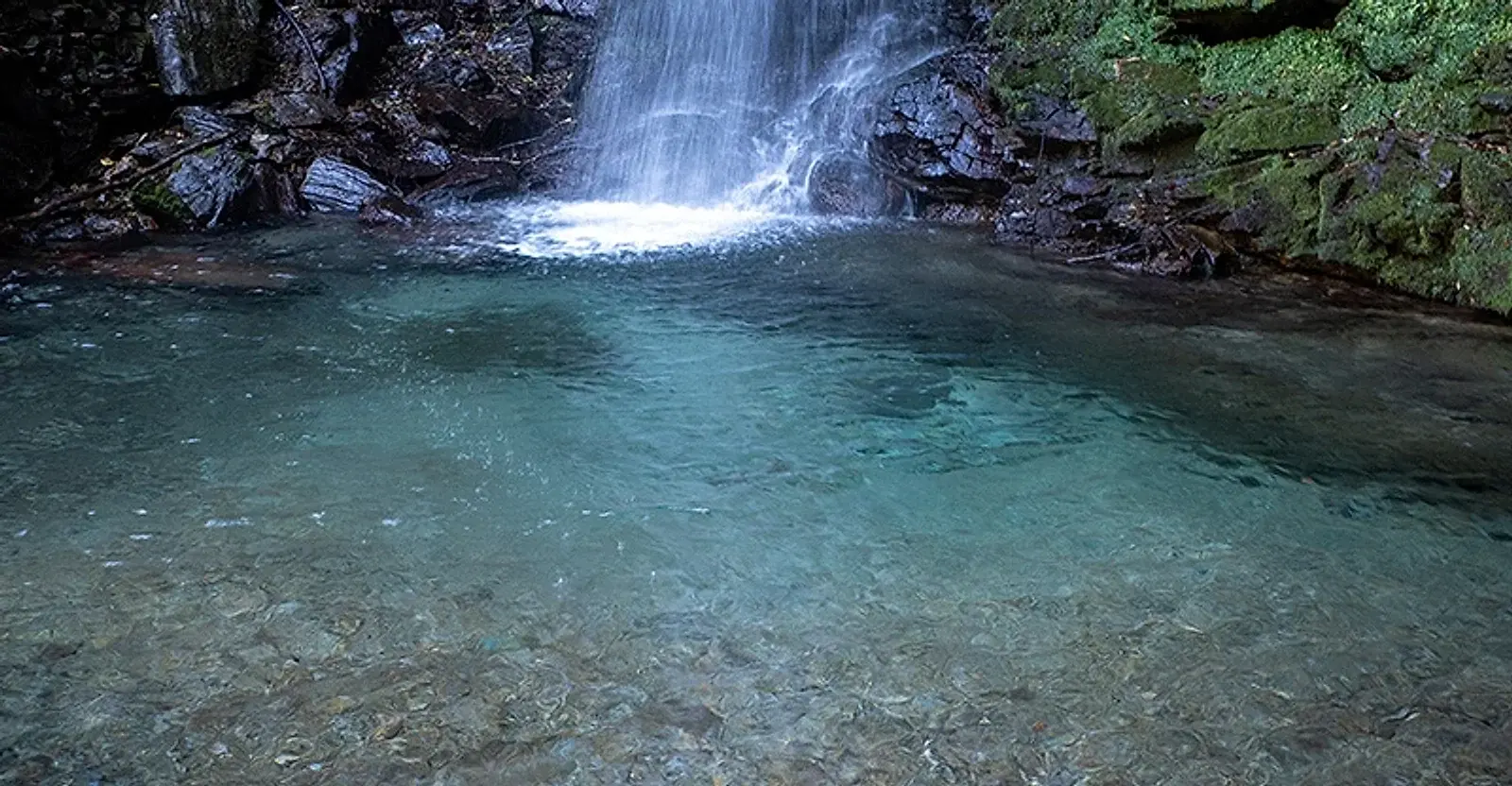 吉野川水系の清らかな水源